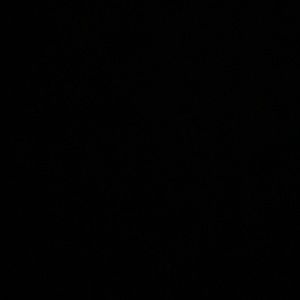 Meet your Posher, Celeste